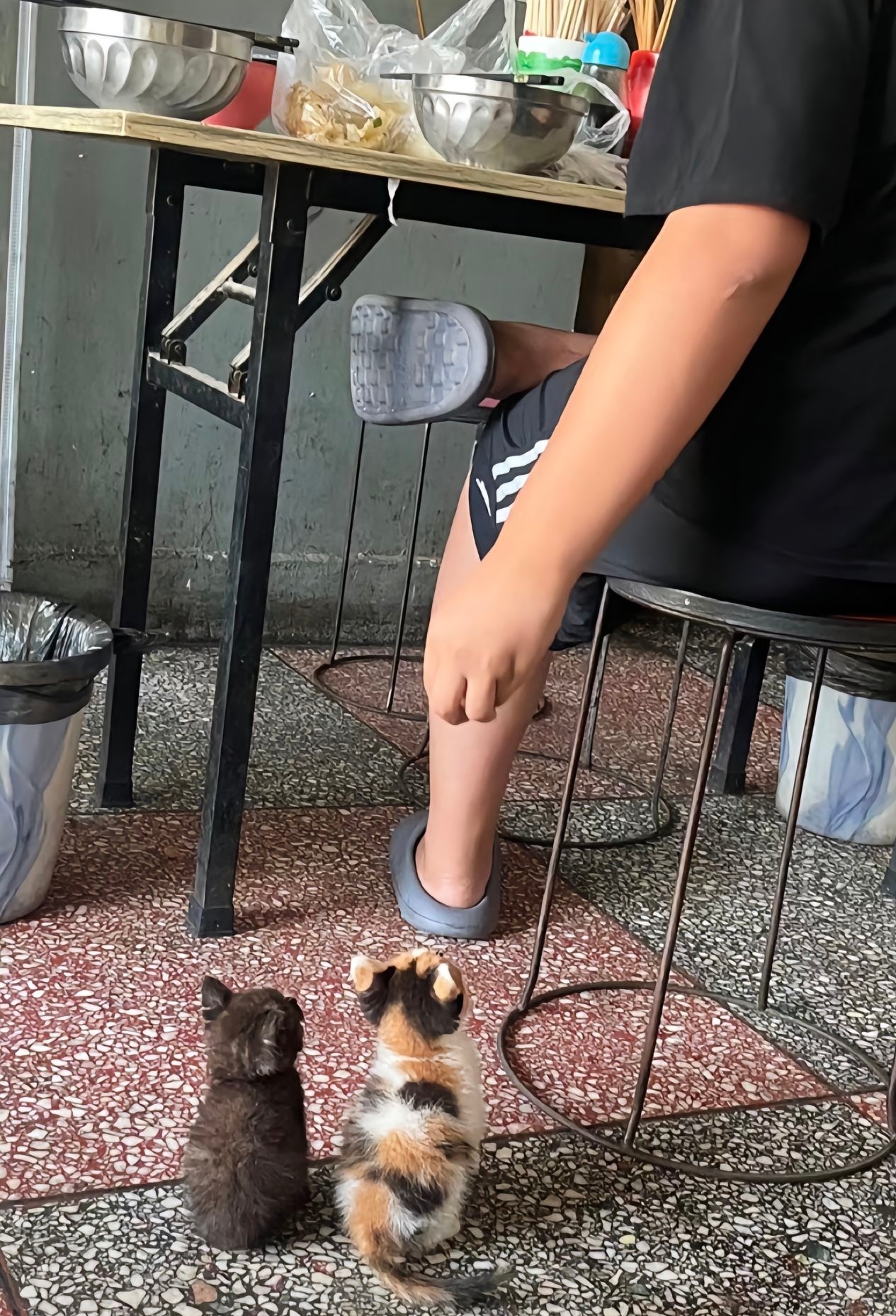 “好心人，你知道的，我们从小就离开了妈妈”