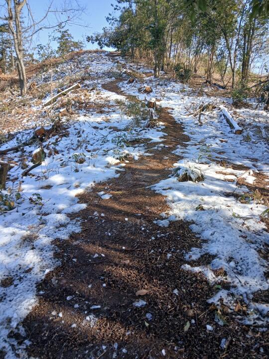 湖北王功山也有雪