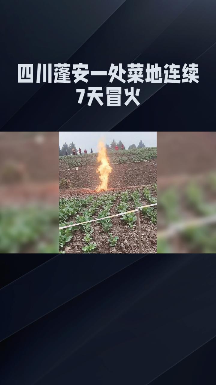 四川蓬安一处菜地连续7天冒火，究竟是自然现象还是安全隐患？
四川南充蓬安县徐家镇