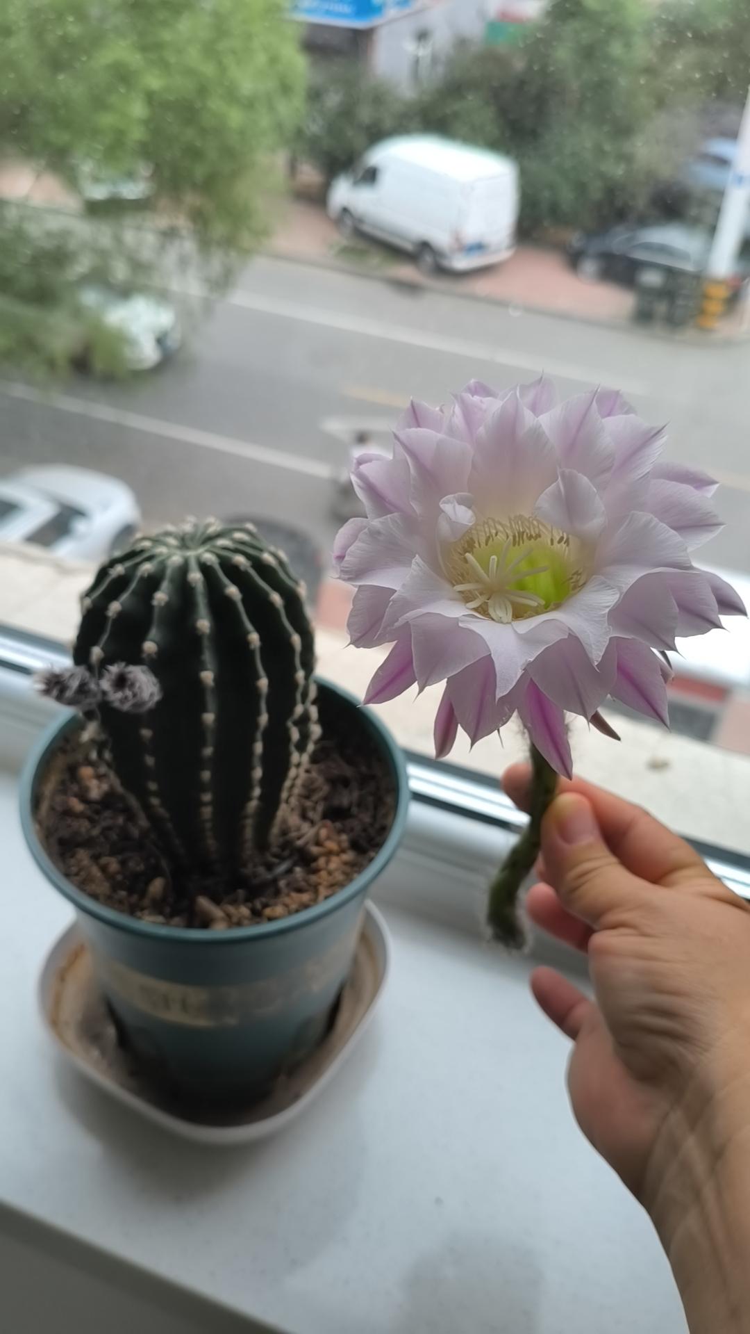 这几句话说的太对了：
照顾好生你的人，是感恩；
照顾好你生的人，是责任；
照顾好