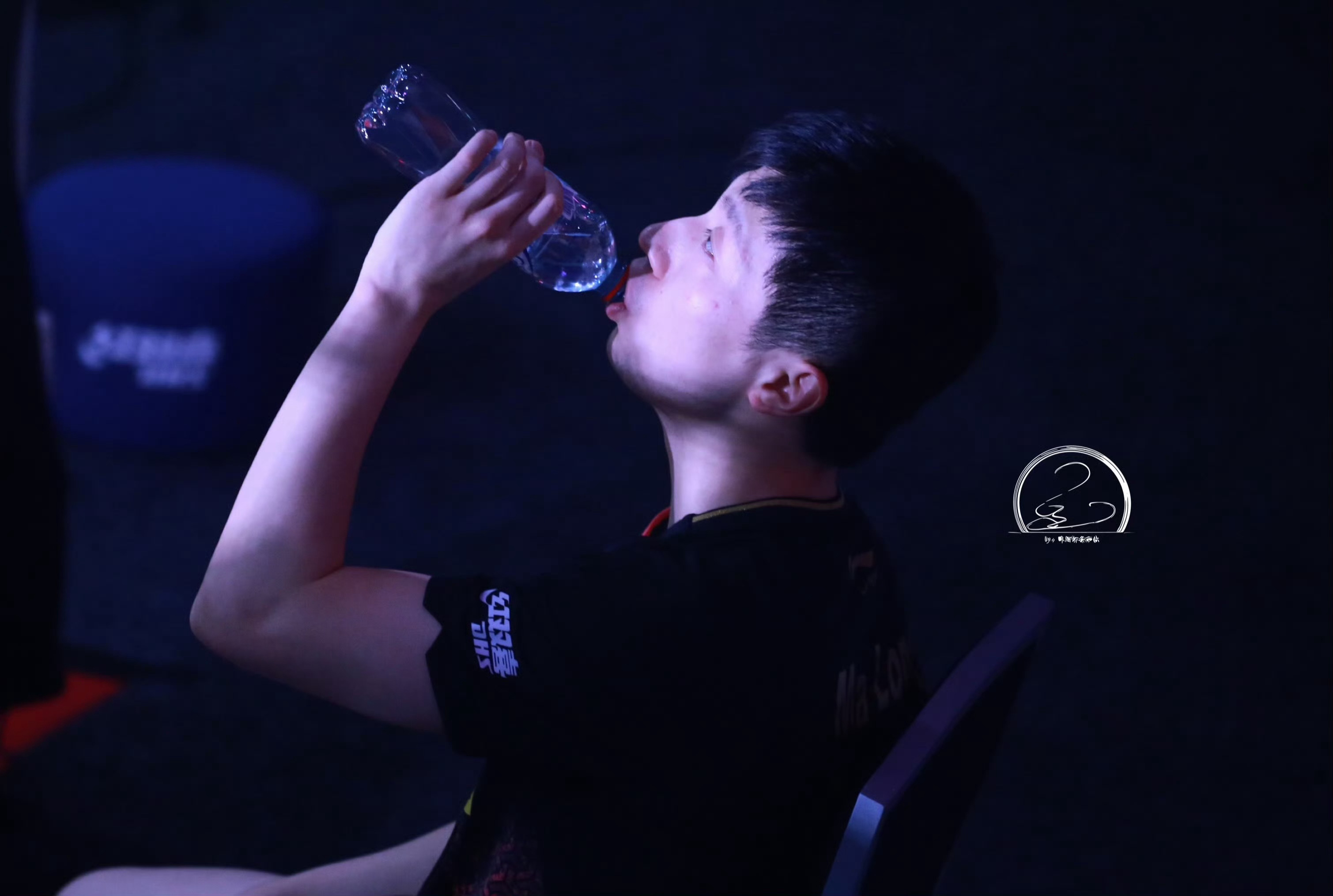 我猫呢？Where’s my cat? うちの猫どこ？ 내 고양이 어디 있어?