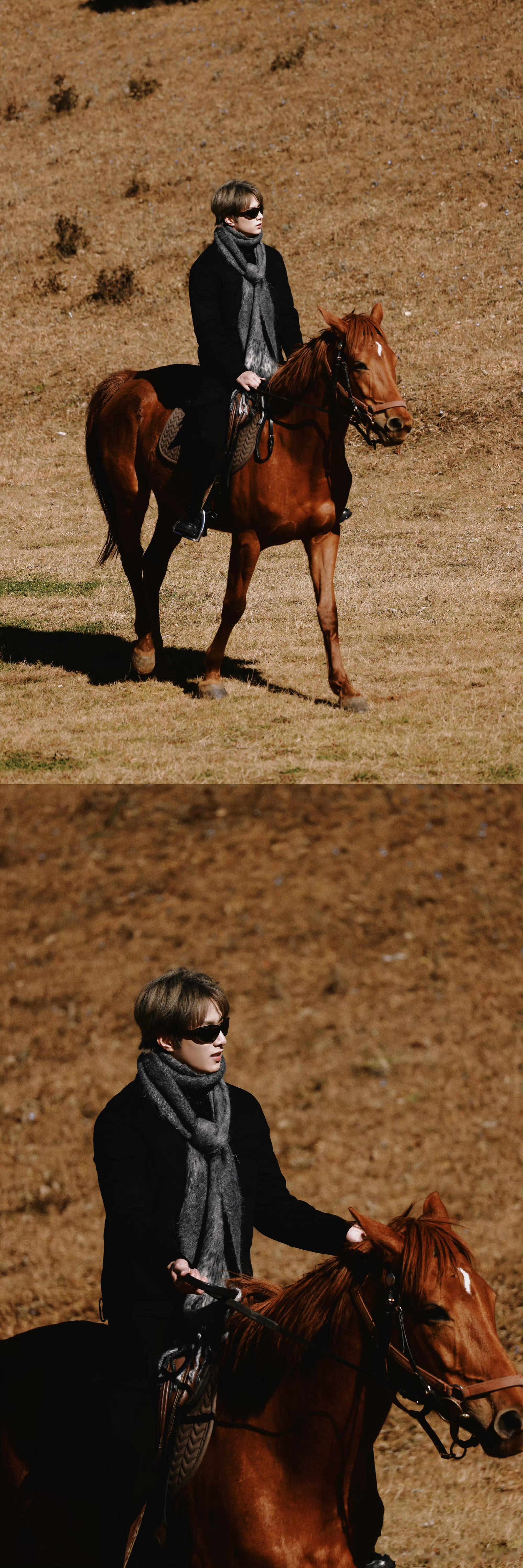 羚羊王子被刘耀文包围了 刘耀文分享骑马帅照 好帅呀 