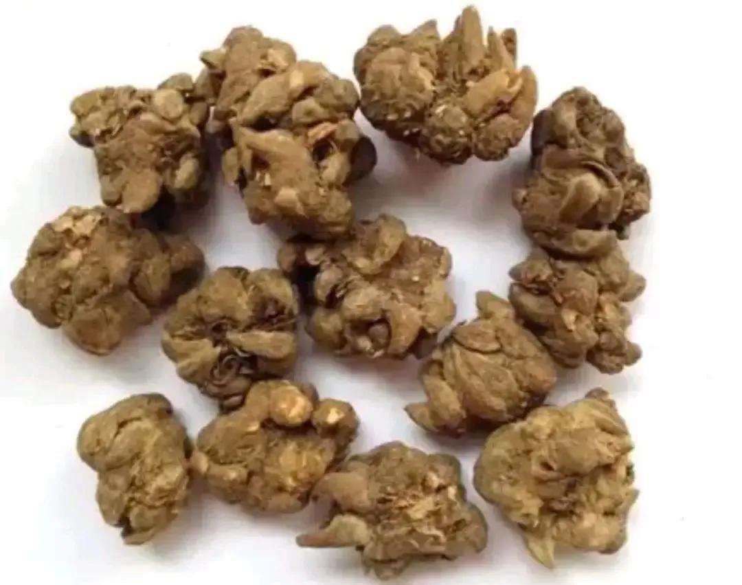 猫爪草，这个听起来就很有趣的小草，其实是个治疗结节的小能手。它能化痰散结，还能解