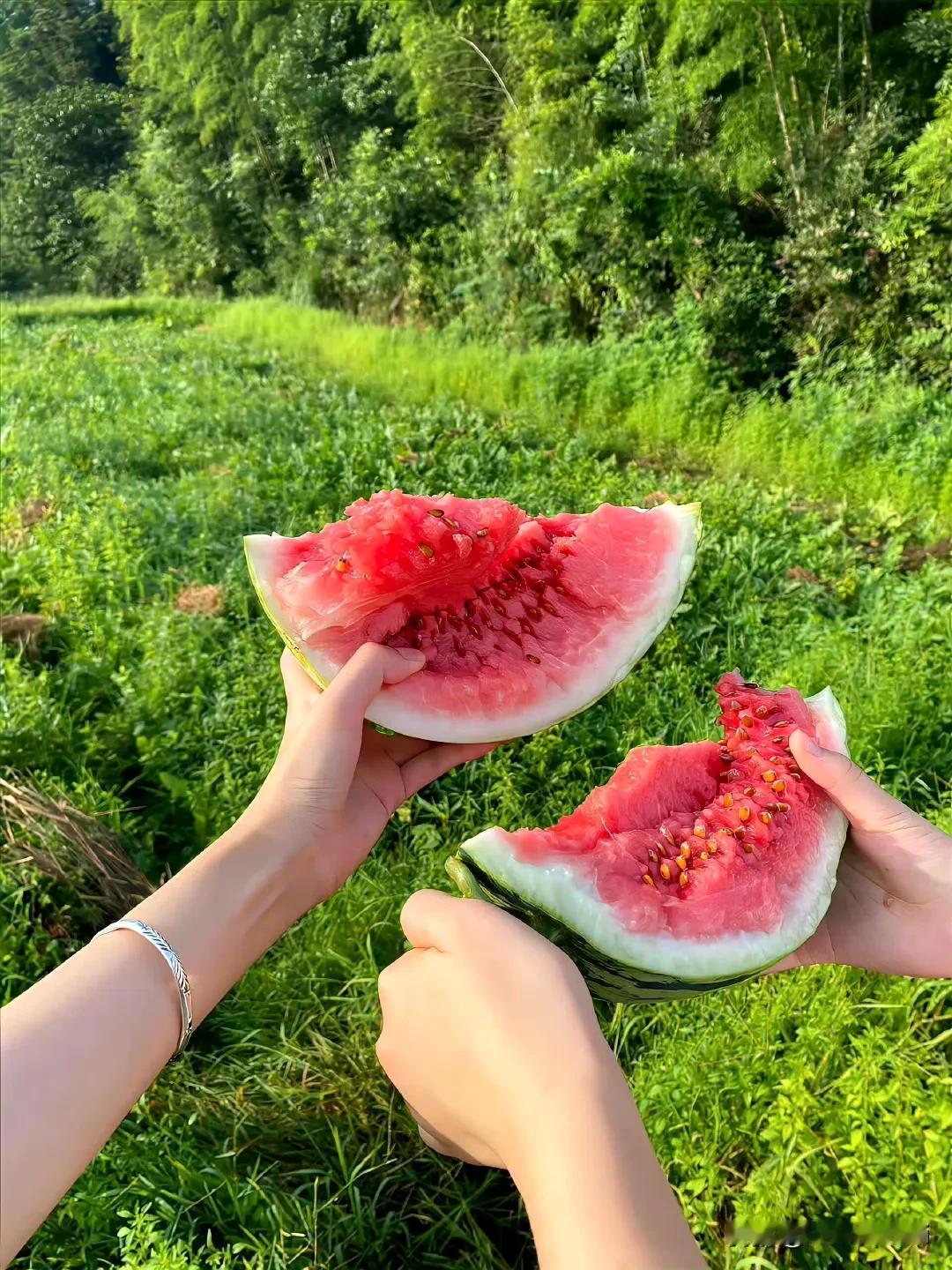 在农村给你最美的回忆是什么老家的生活最治愈人心，平淡耐看，它有种魔力，能温柔治愈