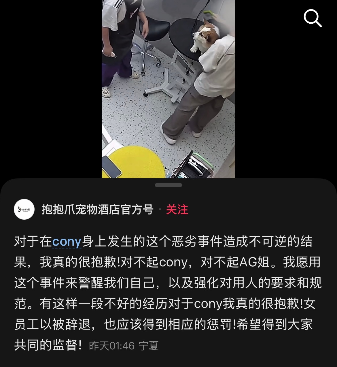 好无语啊特地看了一圈主人没在然后莫名其妙给了不吵不闹的狗儿一巴掌恨狗就别干这行啊