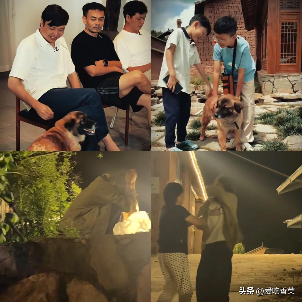 村里那只很听话的狗狗去世！小凤视频中那只很听话的狗狗不在了，子浩念念果汁都很难过