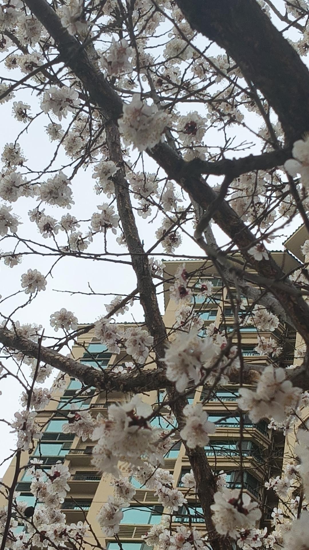 三十多岁的醒悟：心凉了，人就醒了，余生为自己活
 
活了三十多年，我终于把自己活