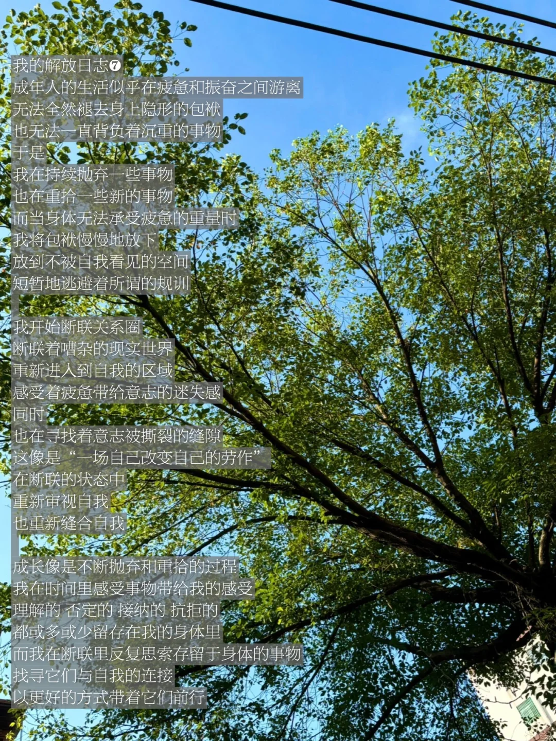 在断联的时刻，享受一场自己改变自己的劳作