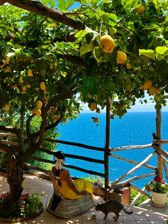 🍋🌈幸福的烦恼就是每天对着一千颗的柠檬～