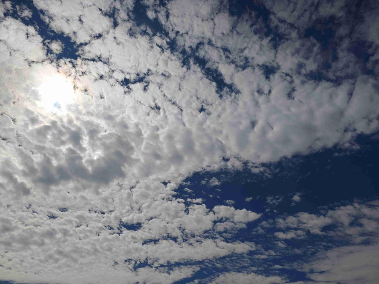 昨天还是晴空万里，热的不行，今天就半阴半阳的，风呼呼的吹，有点冷。
不过今天天空