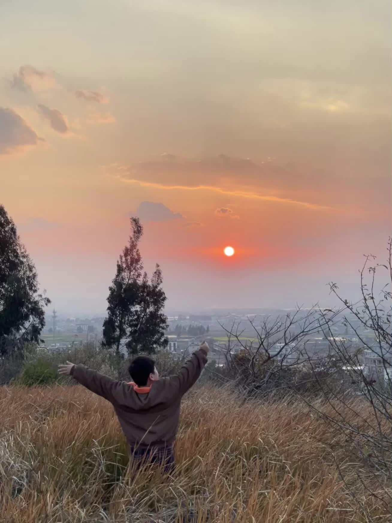 油菜花 乡野田间 日落🌄