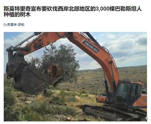 以色列继续在约旦河西岸地区进行领土扩张——以色列财政部长斯莫特里奇宣布，要砍伐3