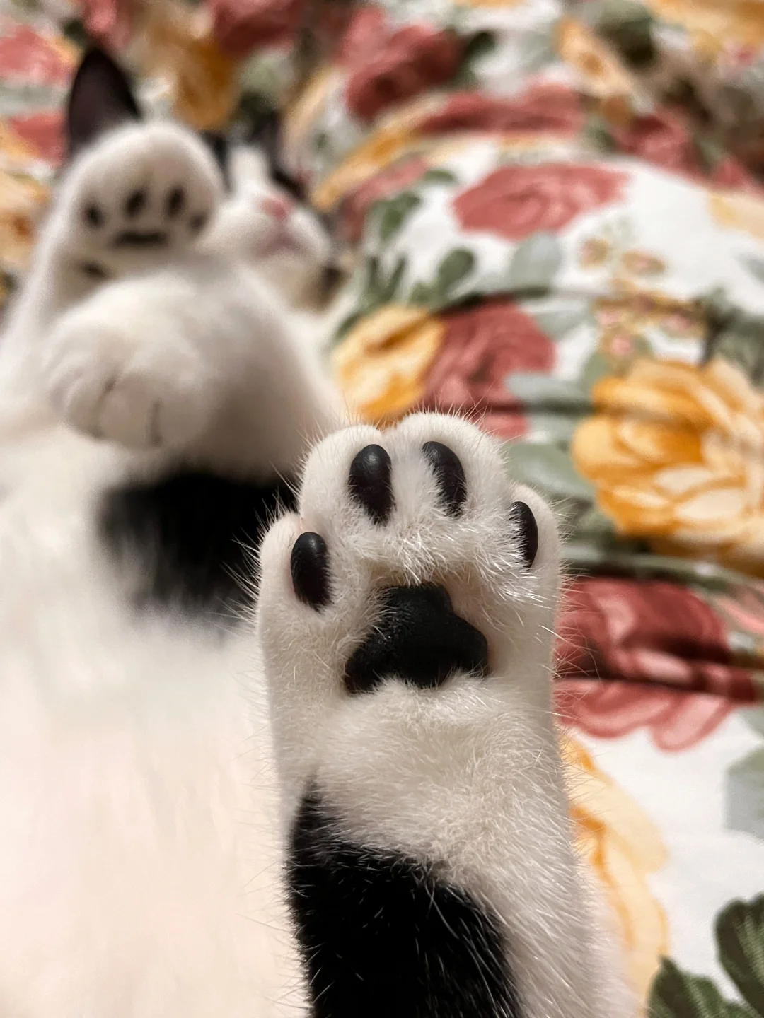 不知道 咪的jiojio很曼妙