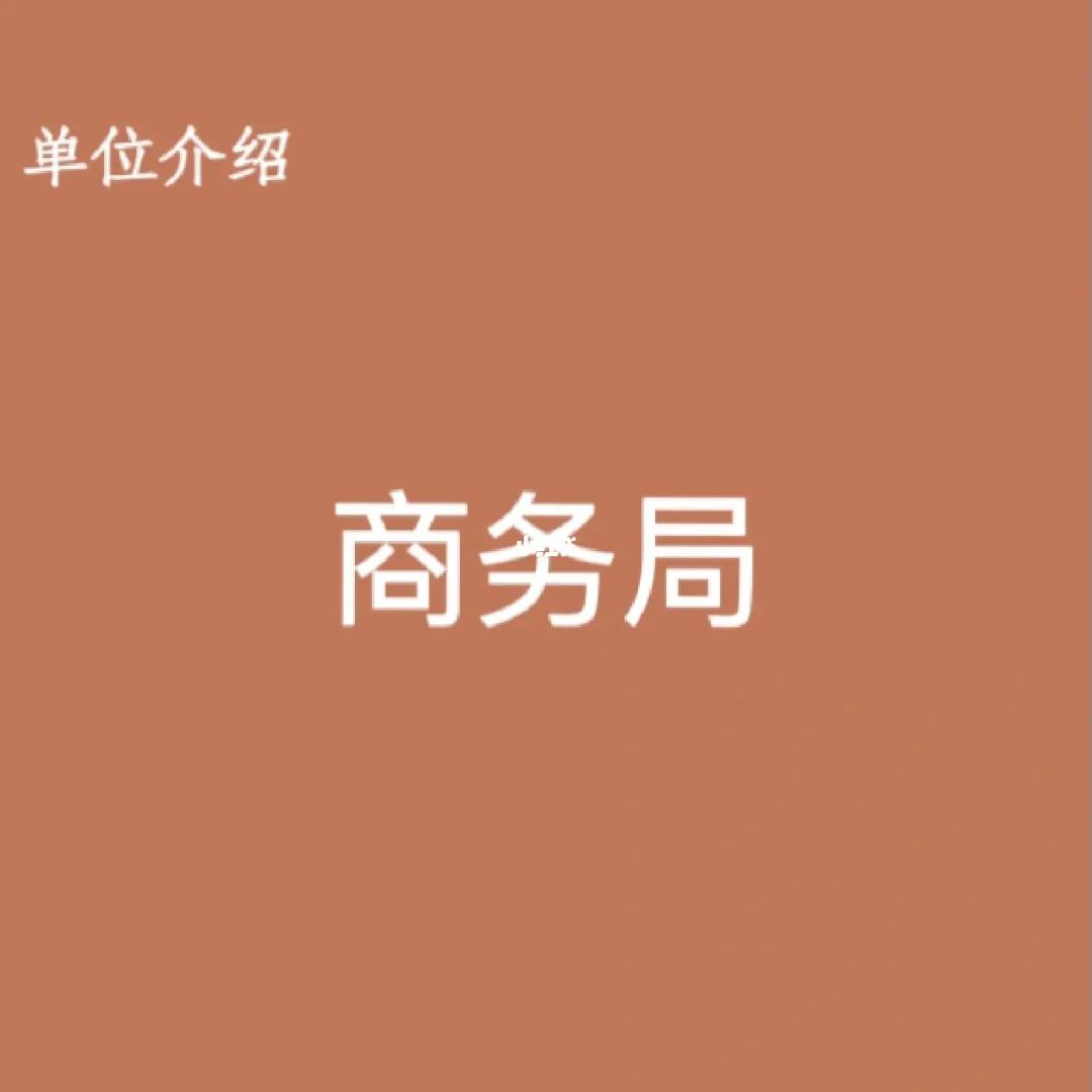 宝子们，这是商务局