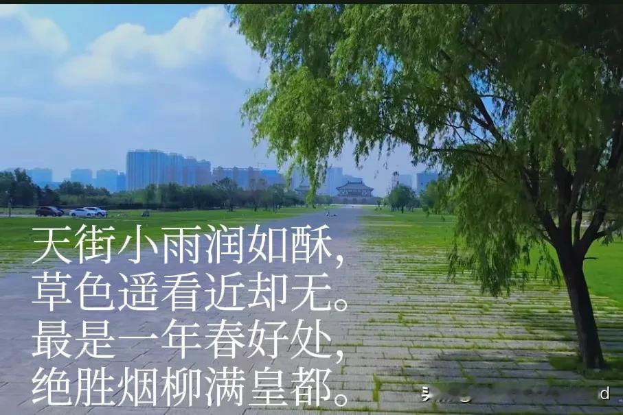 隋唐洛阳天街两旁种的主要是樱花，
而今却种成了柳树。
只为那首韩愈的诗句:
天街