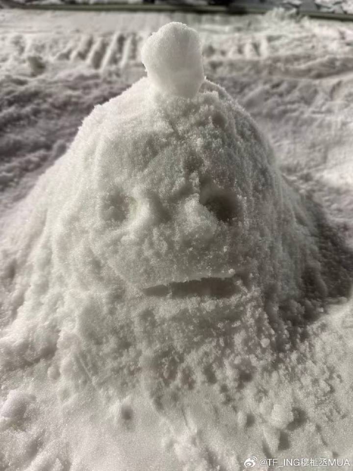 穆祉丞堆的土豆地雷 穆祉丞晒超级无敌螳螂腿 穆祉丞堆的土豆地雷哈哈哈哈 