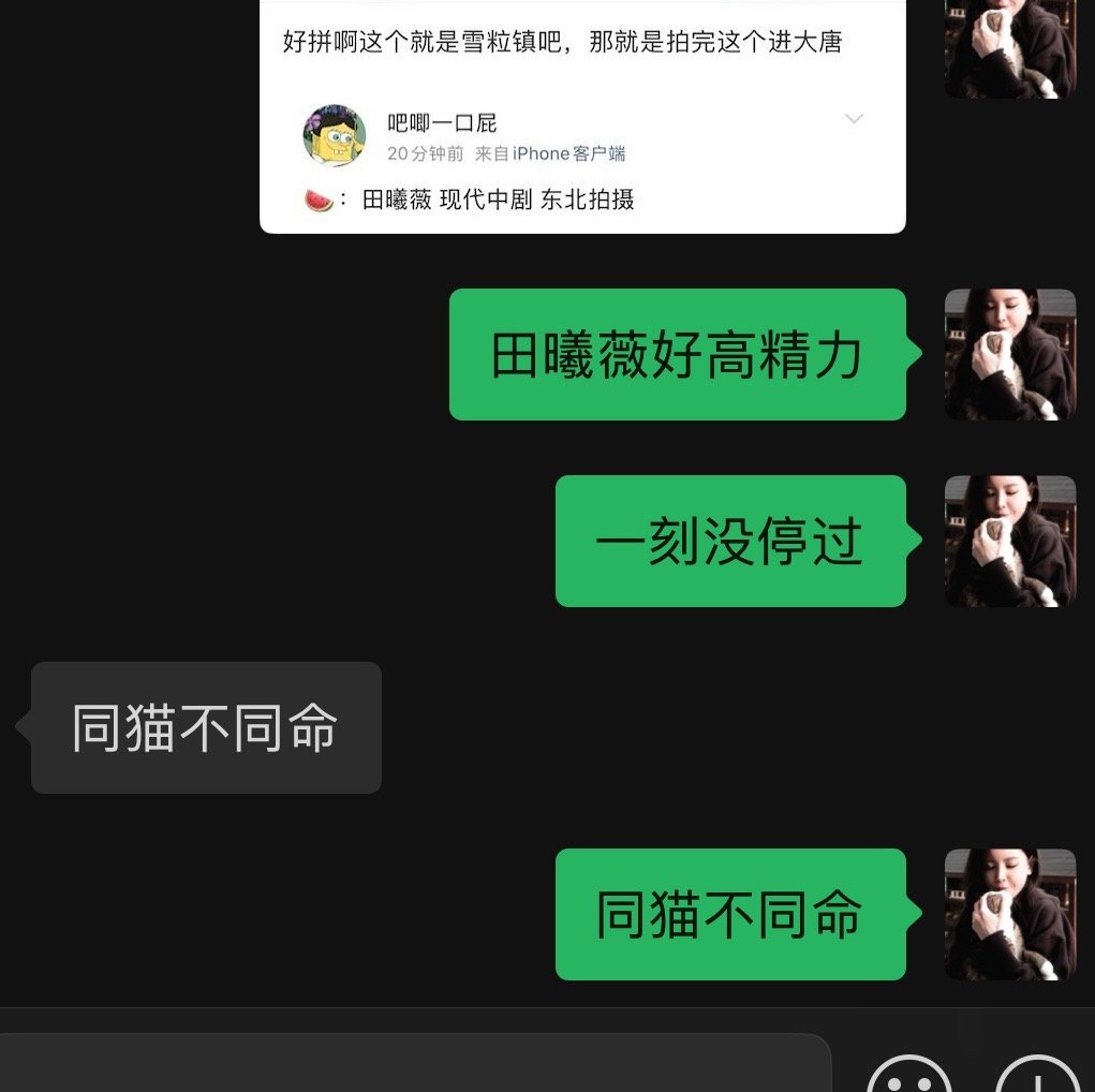 《同猫不同命》 ​​​