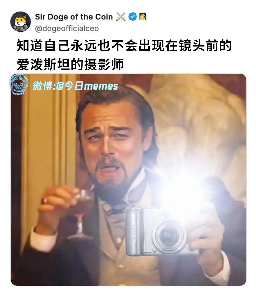 看我（dogeofficialceo）今日meme 今日memes