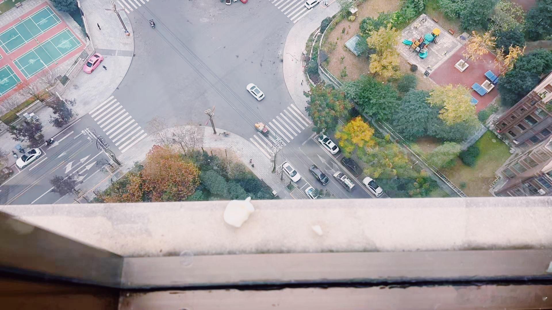 生活手记家有“戏精”男娃！事出反常必有妖！今早的家庭小插曲！直到刚刚剧本结束🔚