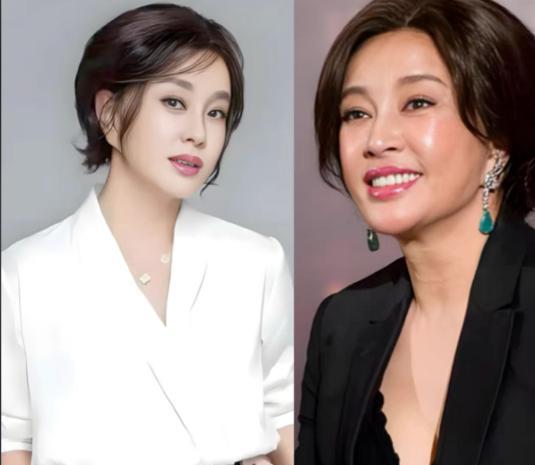 刘晓庆要是听了我这位老同学的酒后真言，怕是要摔杯子！
昨晚饭局上，他一针见血地指