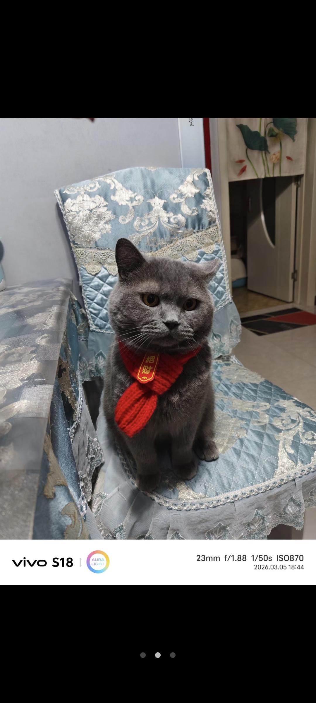 常听老人们说，二八月的天，女人的心，说变就变！

今天到三月初四啦，可真冷，最高