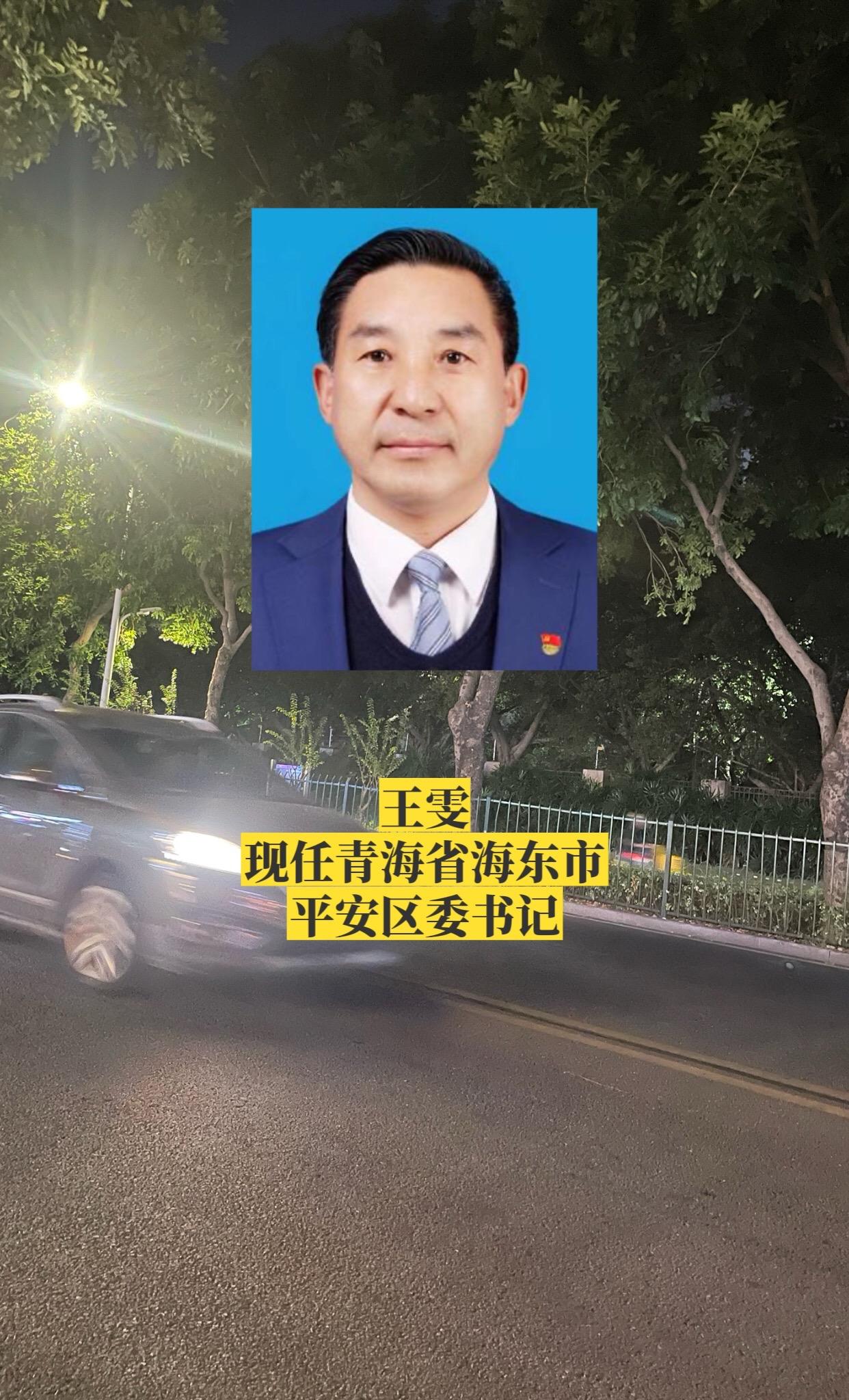 青海海东平安区主要领导。