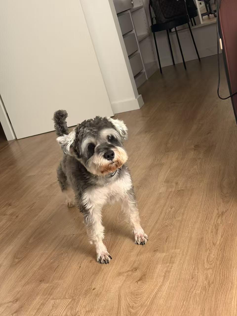 在江苏南京某小区，一名住在一楼的男子因长期不满邻居的宠物狗在自家附近的草坪上随地