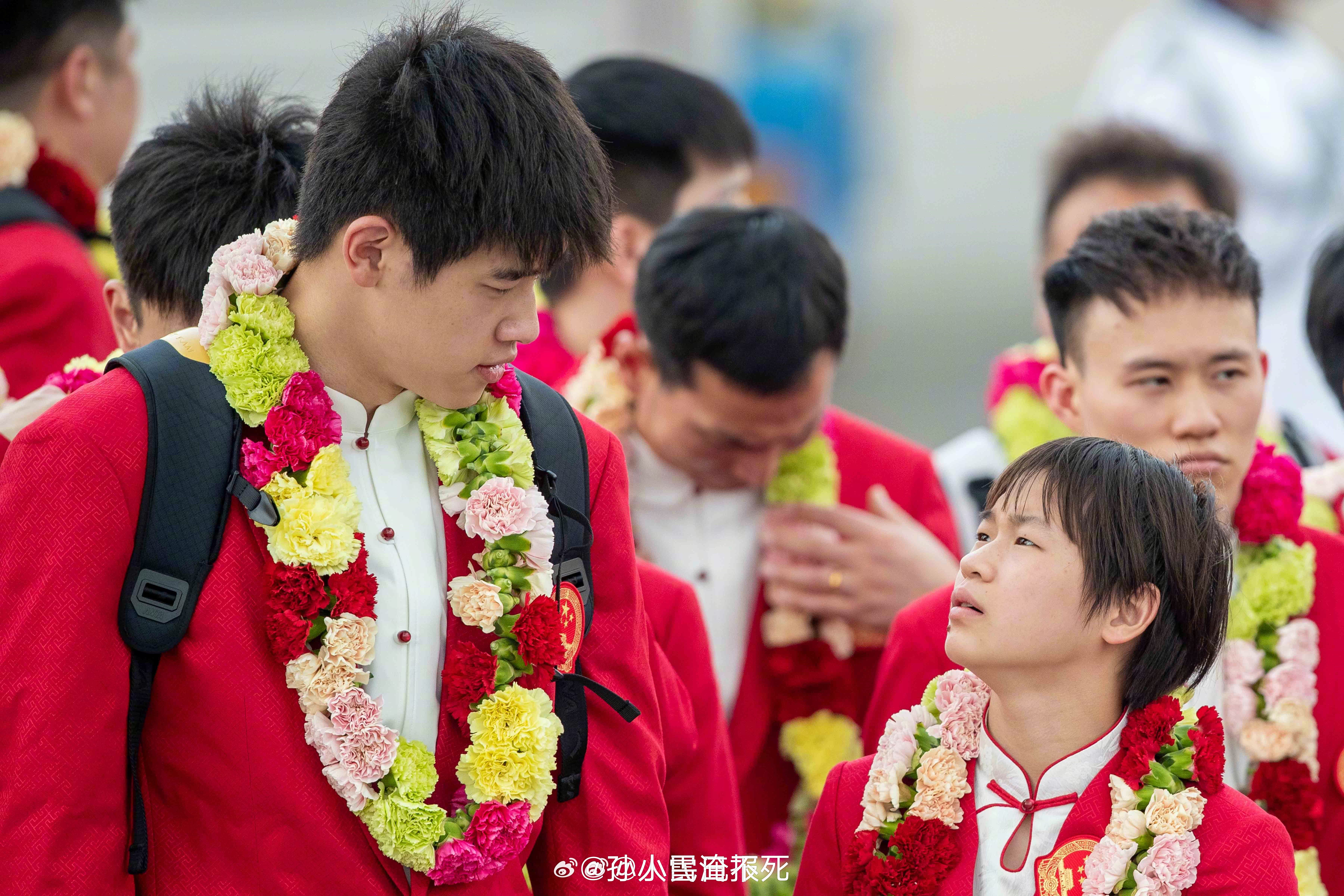 神图够我笑半天#中国跳水队[超话]##全红婵[超话]##中国游泳队[超话]##潘