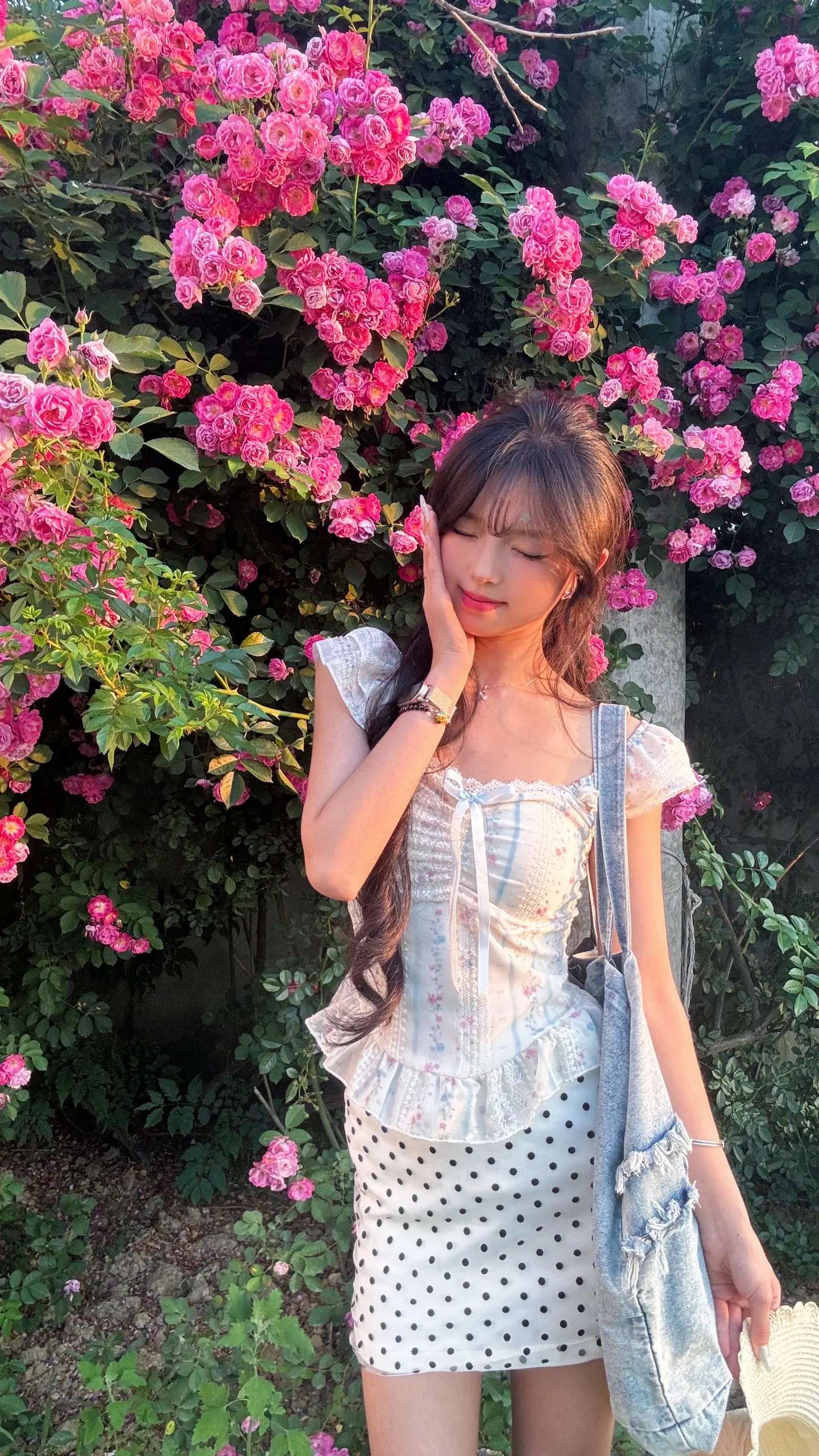 請·多·多·見·面☆ ~!ʢ˶ᵒ ᵕ ˂˶ʡ