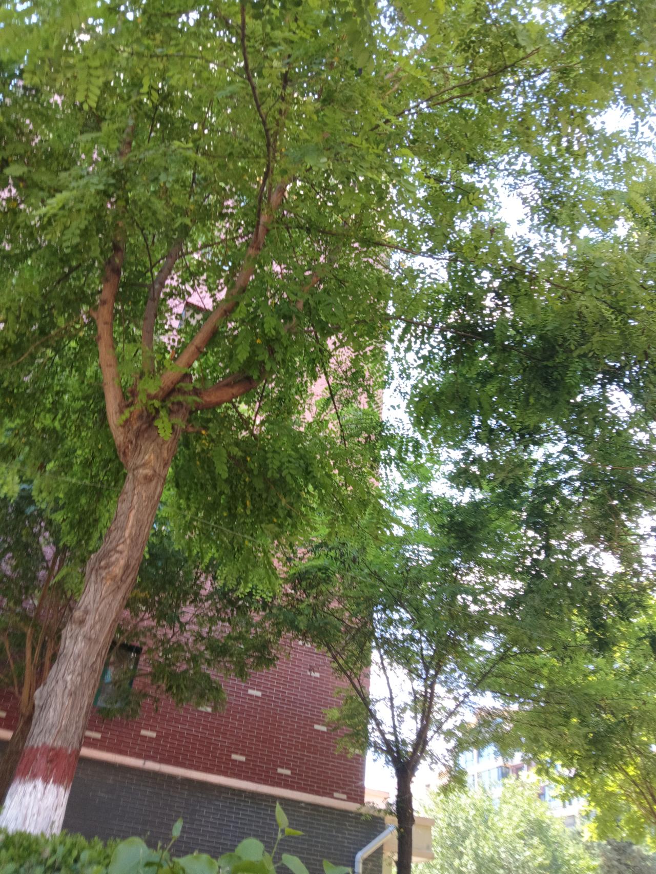 高考考场外的父母，是一道独特又动人的风景线。以前的家长大多默默付出，温和从容，把