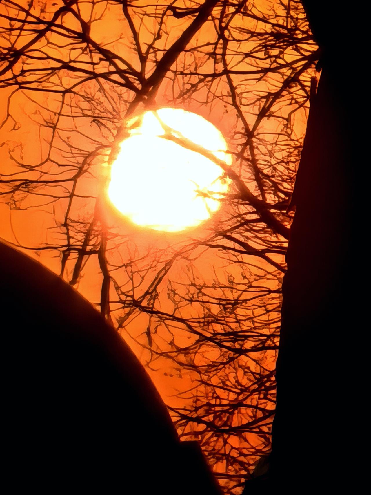 落日（现在时）