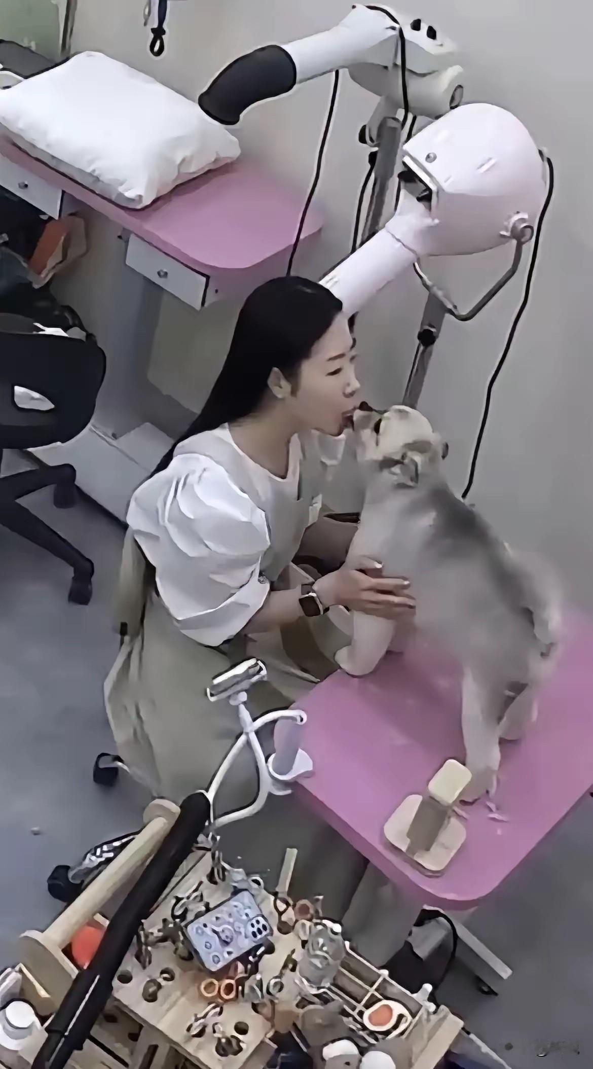 喜欢动物，喜欢成这样的也是挺少见的