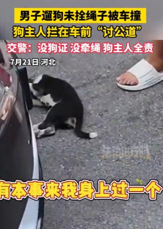睡一觉醒来，遛狗不拴绳的主人慌了！河北一男子在街上遛狗却没牵绳，任由狗四处乱跑，