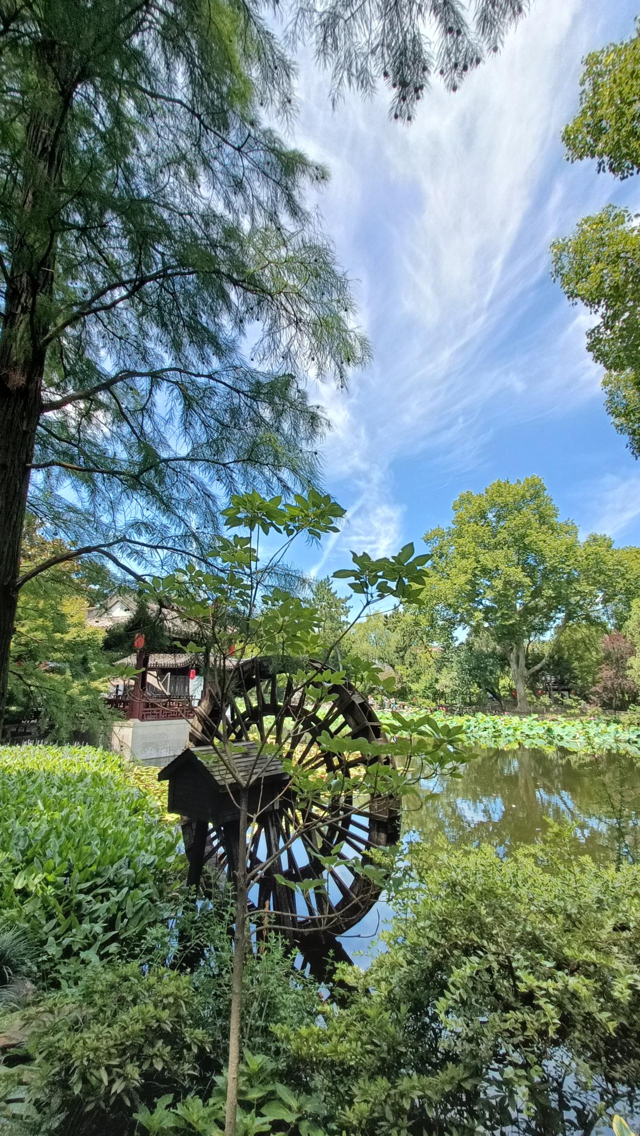 这个公园真美，有水车和荷花，让我想起白银水川黄河湿地公园和贵阳花溪湿地公园。
白
