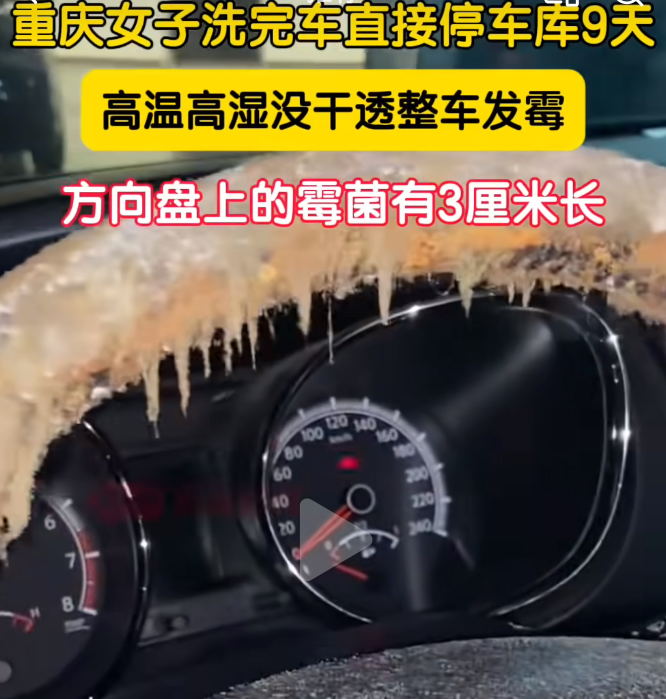 女子洗车9天方向盘长出3cm霉菌车都想报废了，看着都恶心[允悲] ​​​