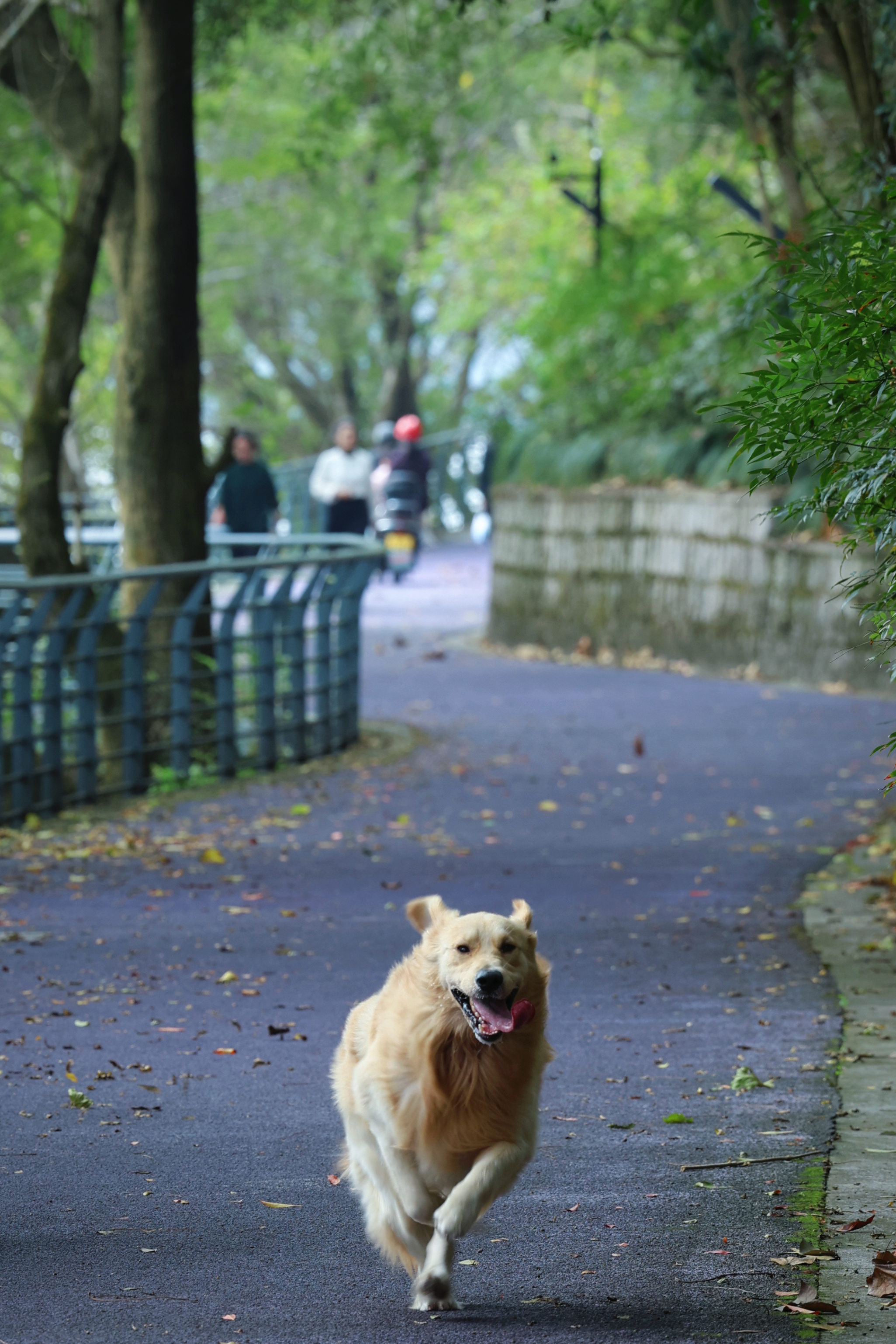 但是建德这个小地方只有去过来的才知道，有山有水整个节奏也慢悠悠的…上一次无泪开机