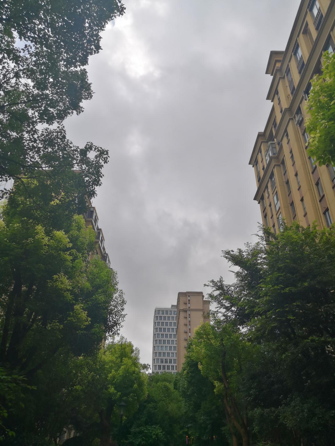 今天上海有台风巴威预警，现在下午时分，我们已经听到风声了，有大风呼啸，我们都躲在