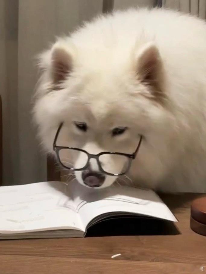 👓🐶 