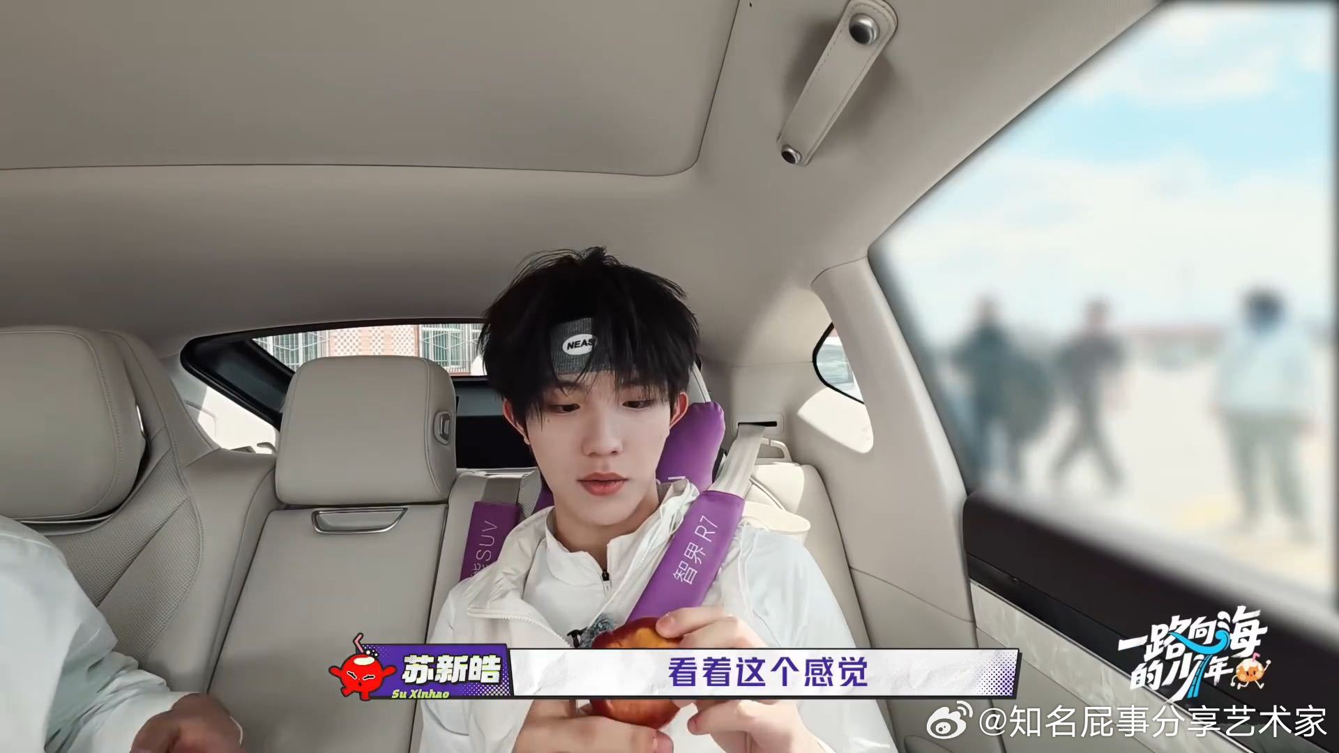 陆虎给苏新皓说蟠桃是孙悟空吃的桃苏新皓听到蟠桃是孙悟空吃的反应 孙悟空同款蟠桃，