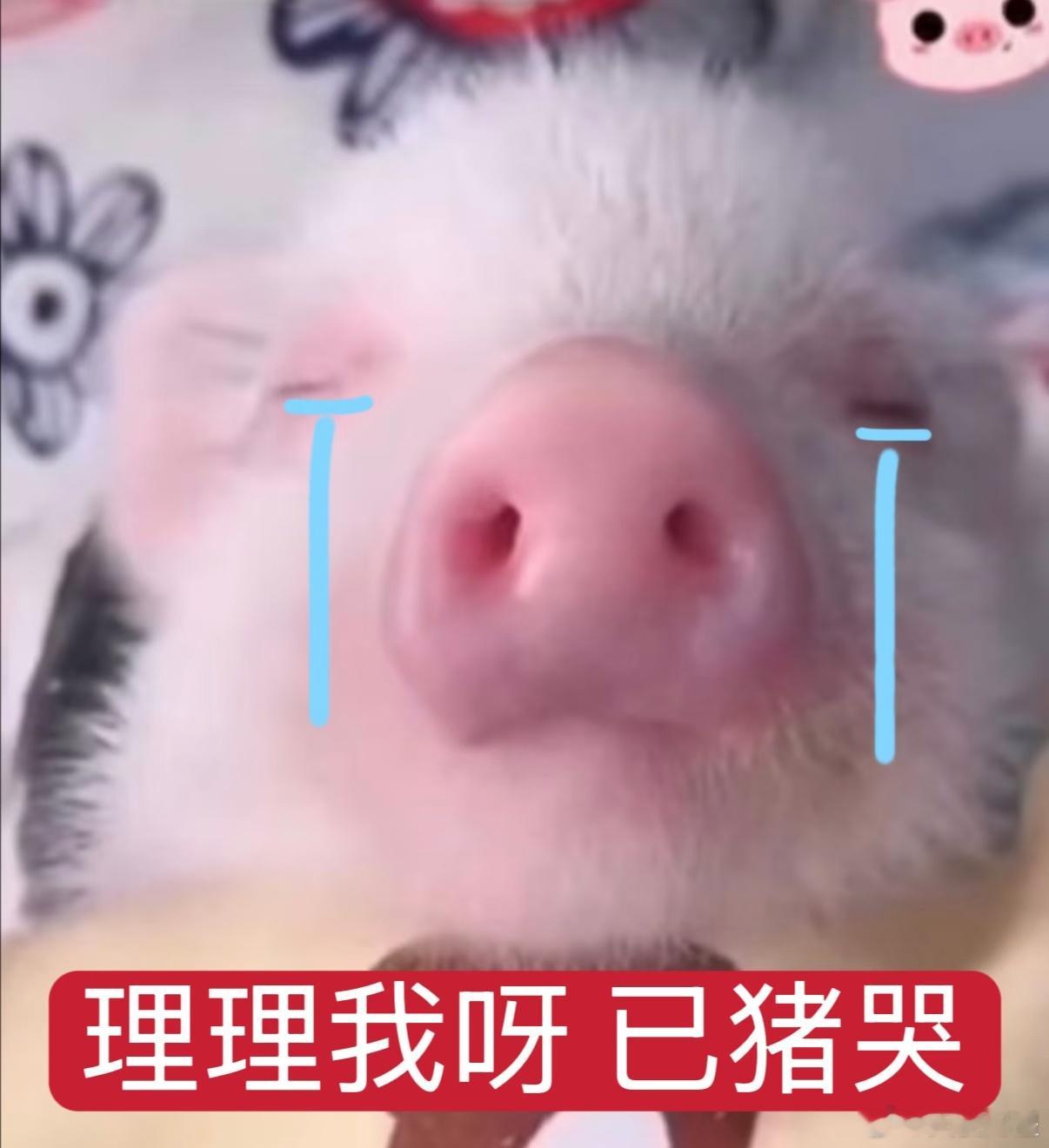 如果我掉红了尼还会爱我吗 