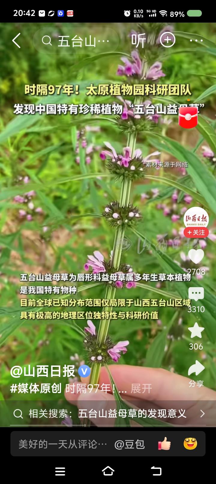 “五台山益母草”被发现——
据报道，近日，科研人员在五台山海拔1500米处重新发