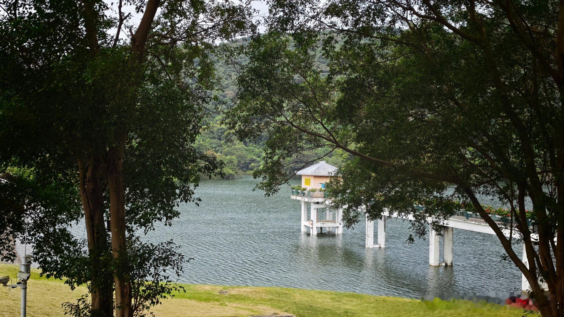 这几天在广东每天住的地方都很美，可惜我并没有时间欣赏。每天都是爬起来就去拍摄，拍