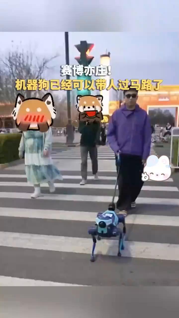 赛博亦庄！机器狗已经可以带人过马路了。
近日，有网友在北京亦庄街头偶遇一只正在测
