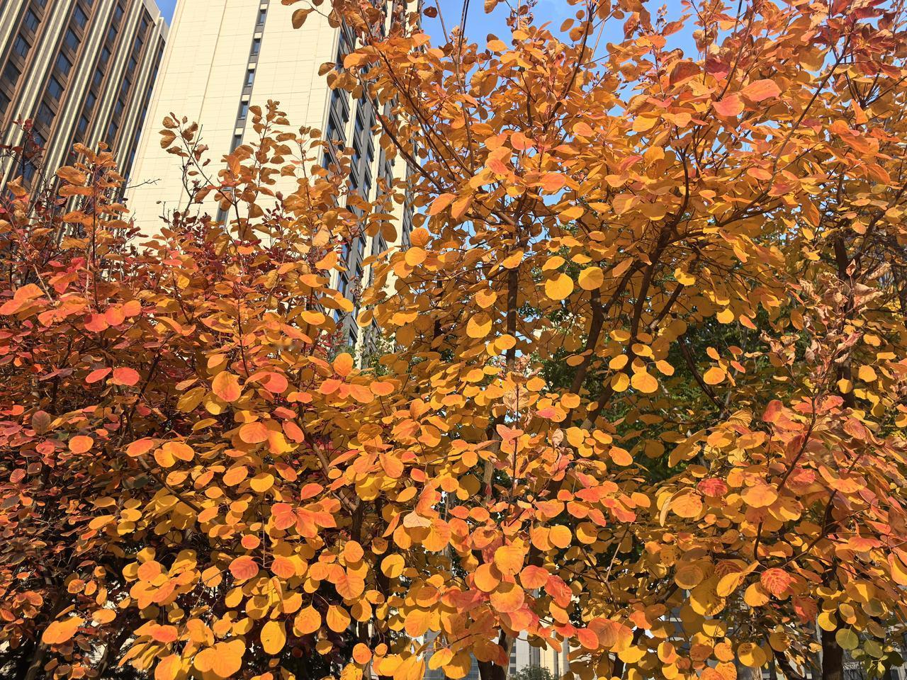 冬日生活打卡季