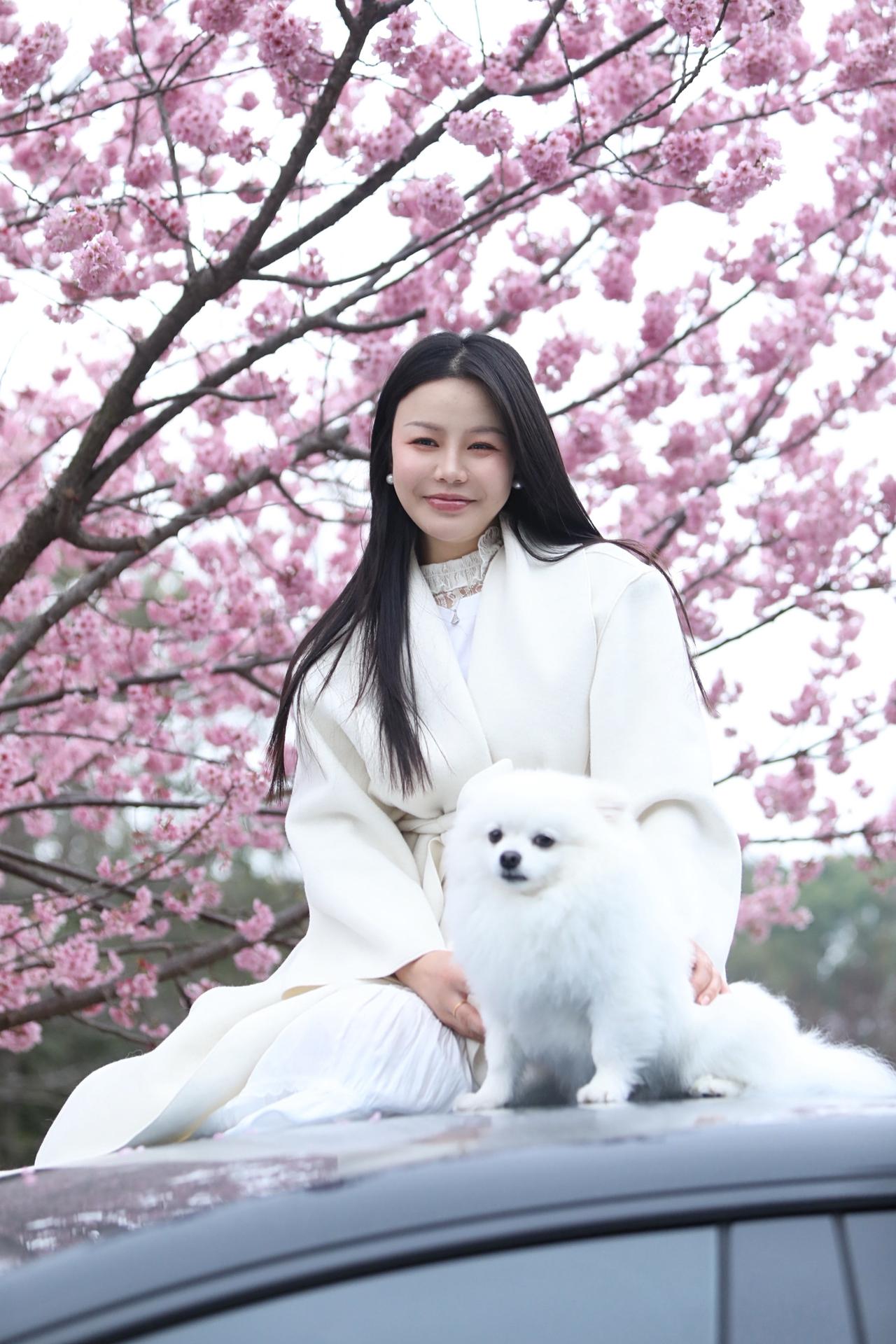 我小狗的表情太可爱了博美宝宝