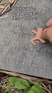 给小蚂蚁整了个迷你健身火腿，造型小巧还自带“健身器材”既视感。
 
刚摆好没多久