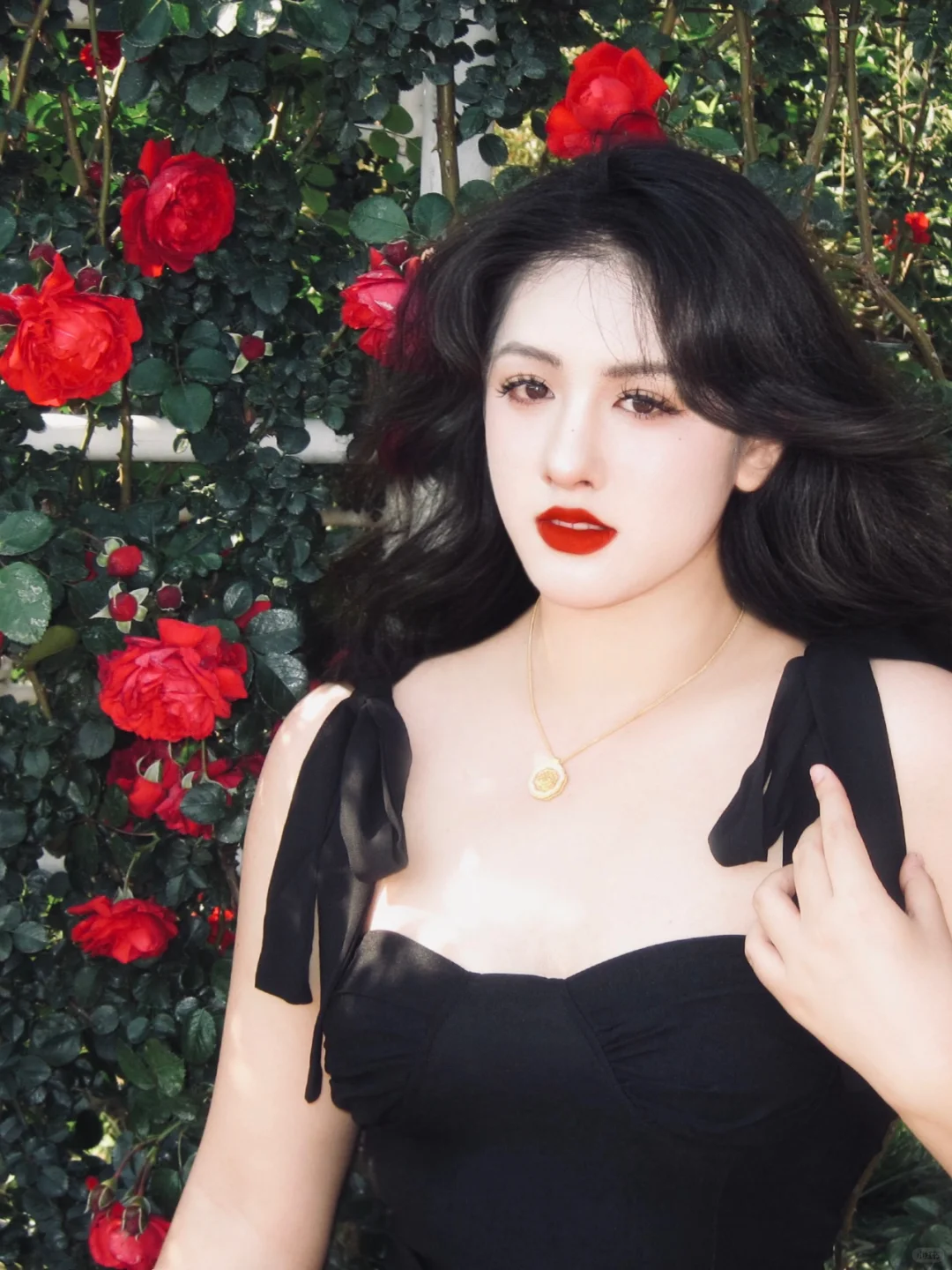 红玫瑰与白玫瑰（纯享版）