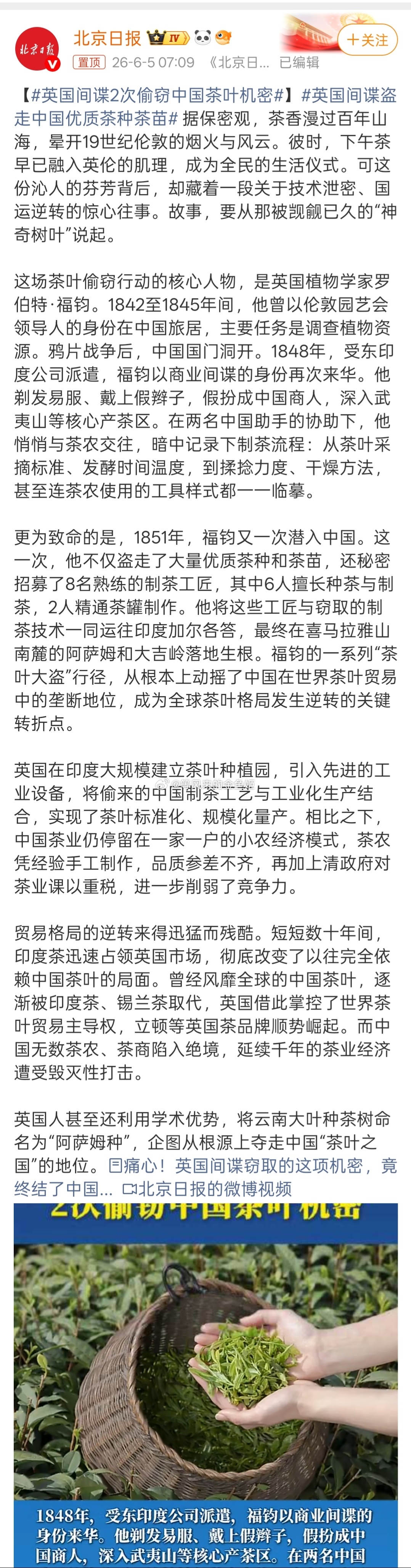 英国间谍2次偷窃中国茶叶机密不靠偷哪来的？还有你猜日本哪来的哈密瓜，韩国哪来的哈