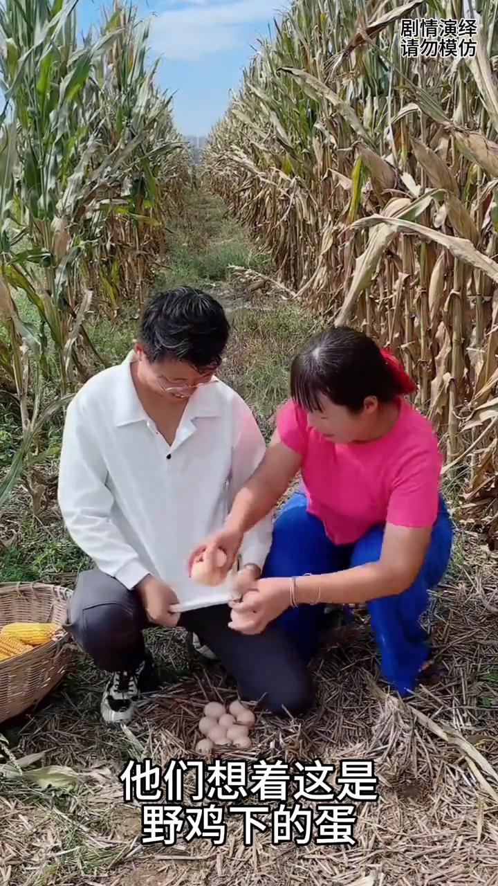 夫妻两个在玉米地里干农活，突然他们看到地上的一对蛋，他们想着这是野鸡下的蛋，于是