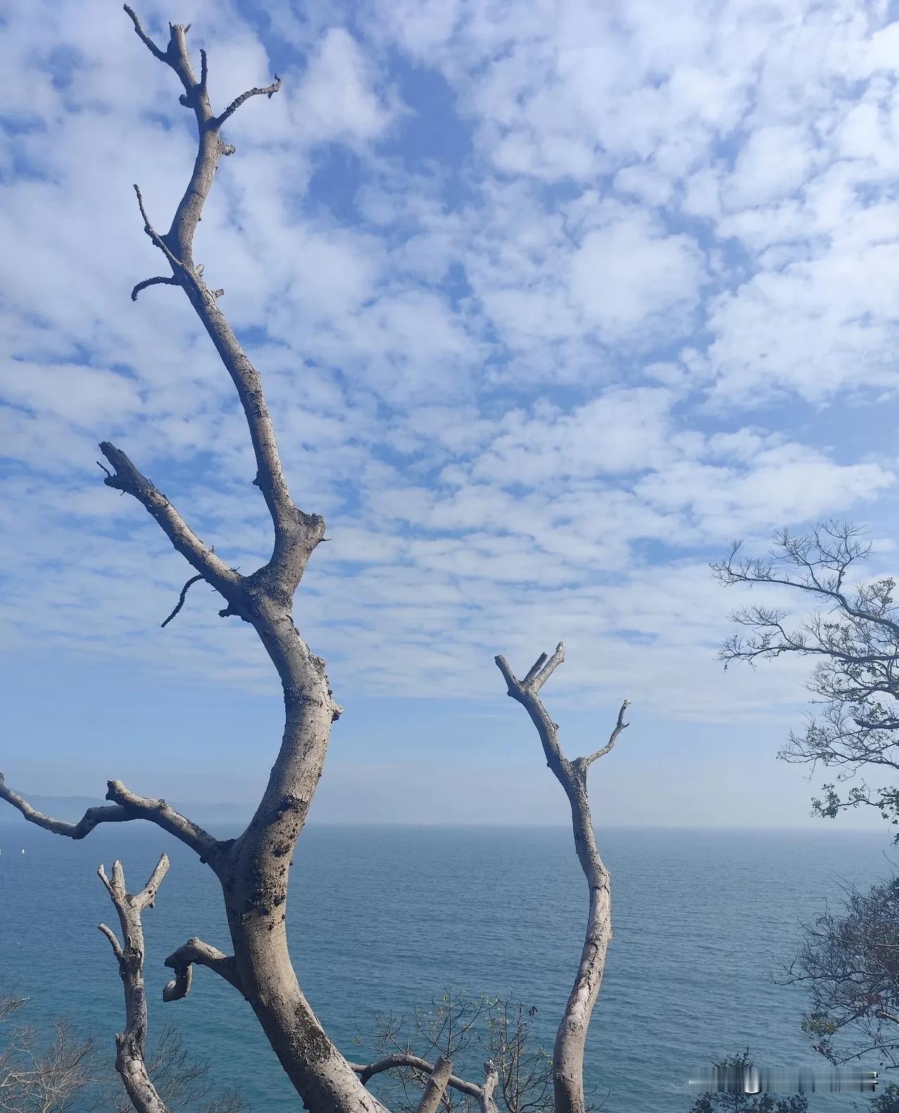 现在的医学真的太厉害了，厉害到能把死亡硬生生拖成一场漫长又磨人的拉扯。

呼吸机